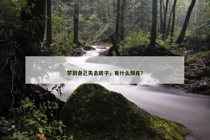 梦到自己失去房子,有什么预兆?