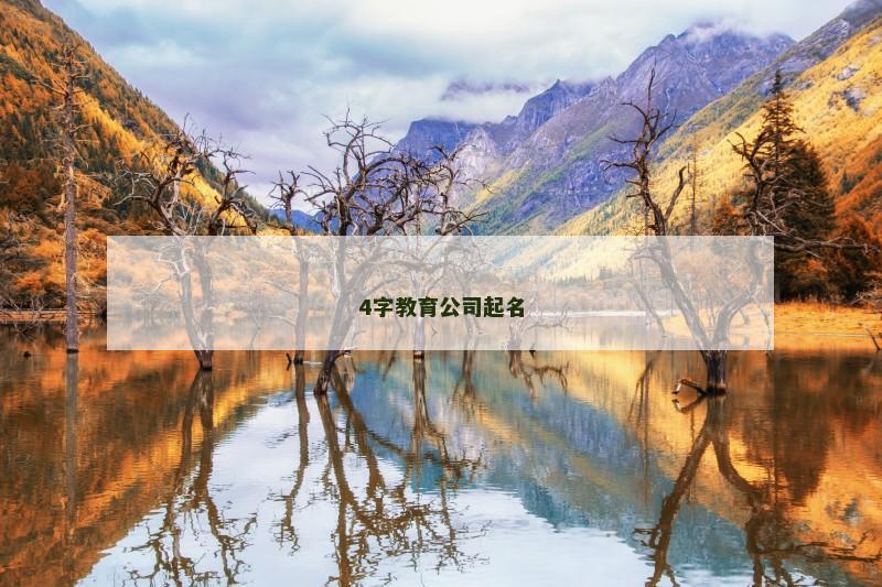 4字教育公司起名