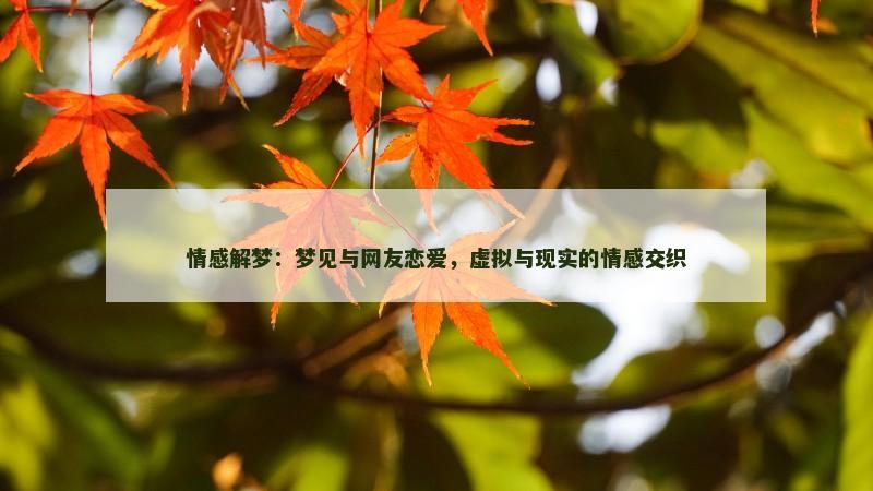 情感解梦:梦见与网友恋爱,虚拟与现实的情感交织
