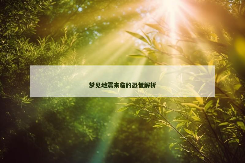 梦见地震来临的恐慌解析