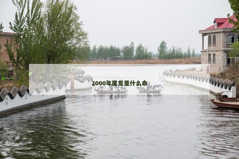 2000年属龙是什么命
