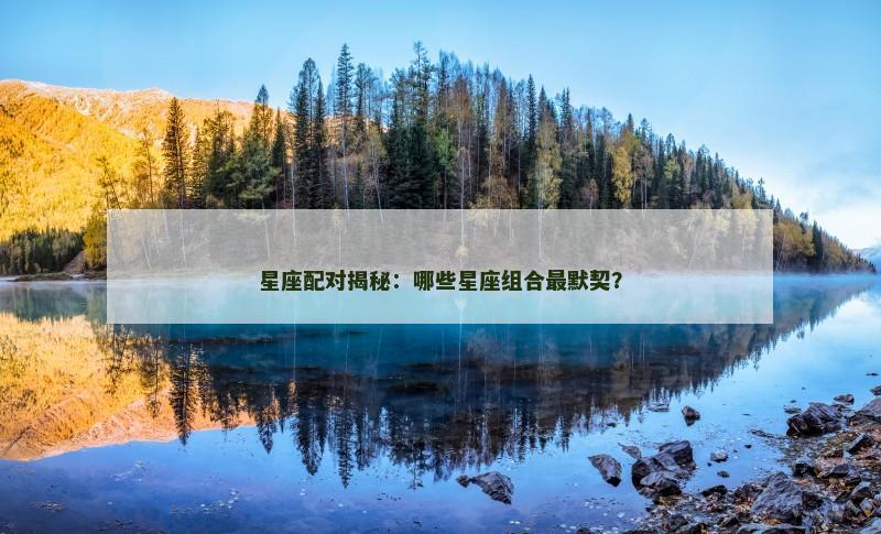 星座配对揭秘：哪些星座组合最默契？