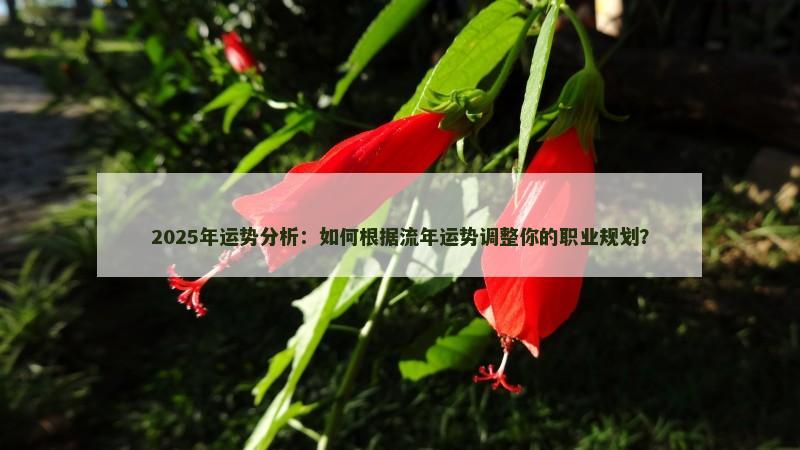 2025年运势分析:如何根据流年运势调整你的职业规划?