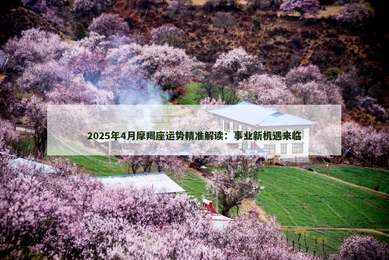 2025年4月摩羯座运势精准解读：事业新机遇来临