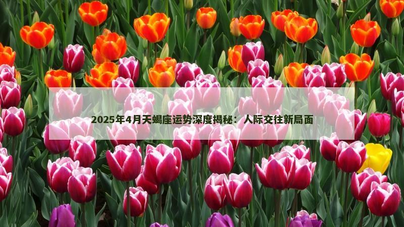 2025年4月天蝎座运势深度揭秘:人际交往新局面