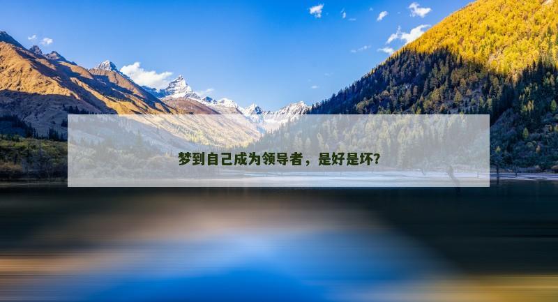 梦到自己成为领导者,是好是坏?