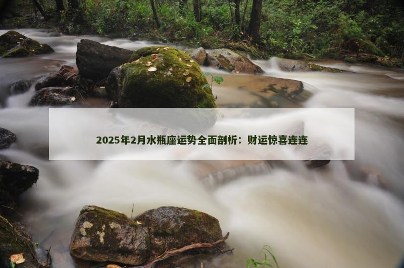 2025年2月水瓶座运势全面剖析:财运惊喜连连