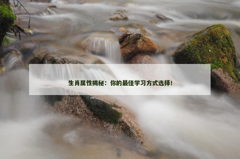 生肖属性揭秘：你的最佳学习方式选择！