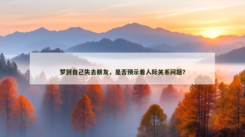 梦到自己失去朋友,是否预示着人际关系问题?