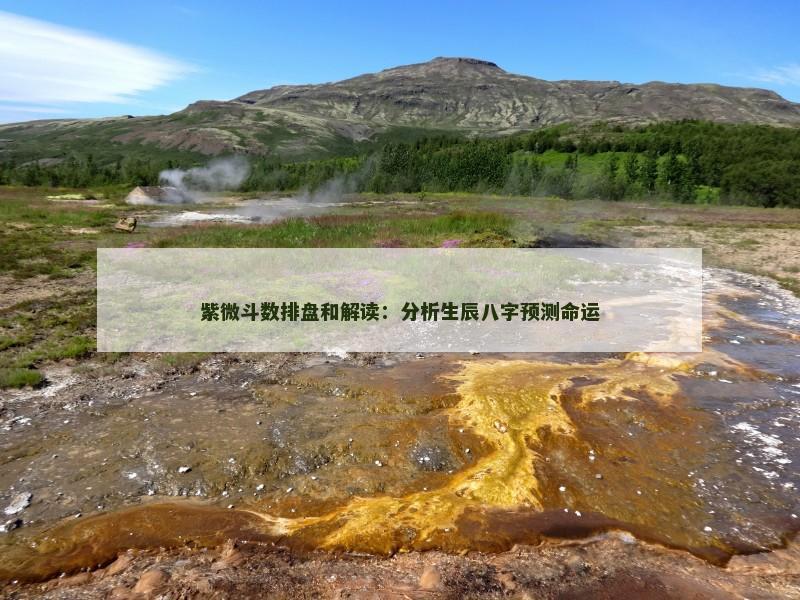 紫微斗数排盘和解读：分析生辰八字预测命运