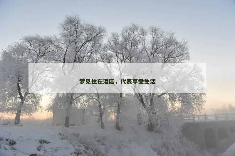 梦见住在酒店,代表享受生活