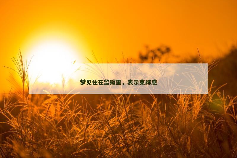 梦见住在监狱里,表示束缚感