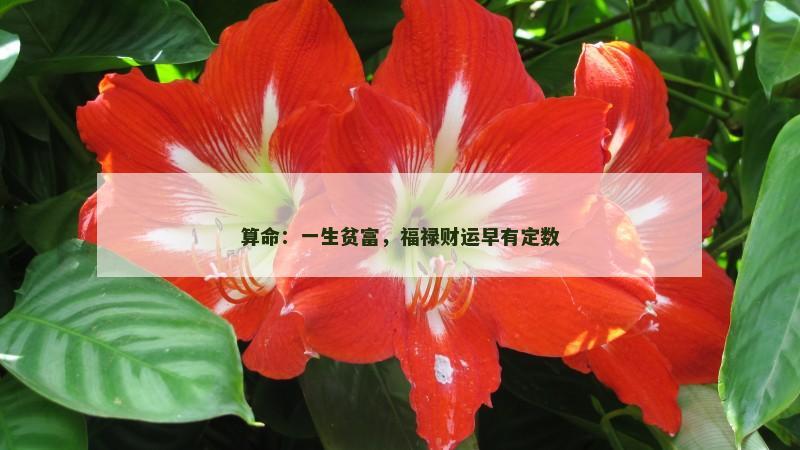 算命：一生贫富，福禄财运早有定数