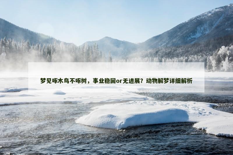 梦见啄木鸟不啄树，事业稳固or无进展？动物解梦详细解析