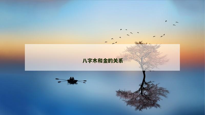 八字木和金的关系