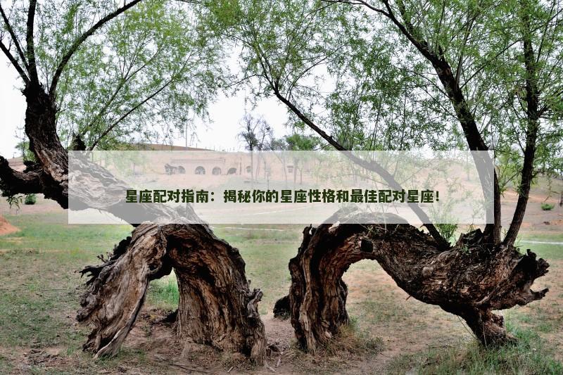 星座配对指南：揭秘你的星座性格和最佳配对星座！