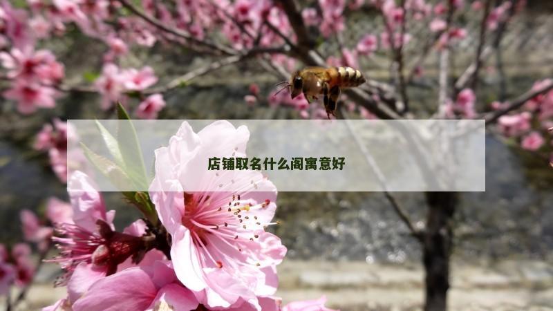 店铺取名什么阁寓意好