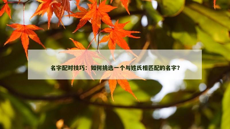名字配对技巧：如何挑选一个与姓氏相匹配的名字？