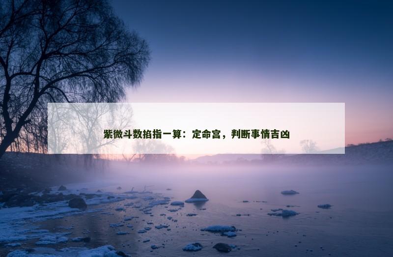 紫微斗数掐指一算：定命宫，判断事情吉凶