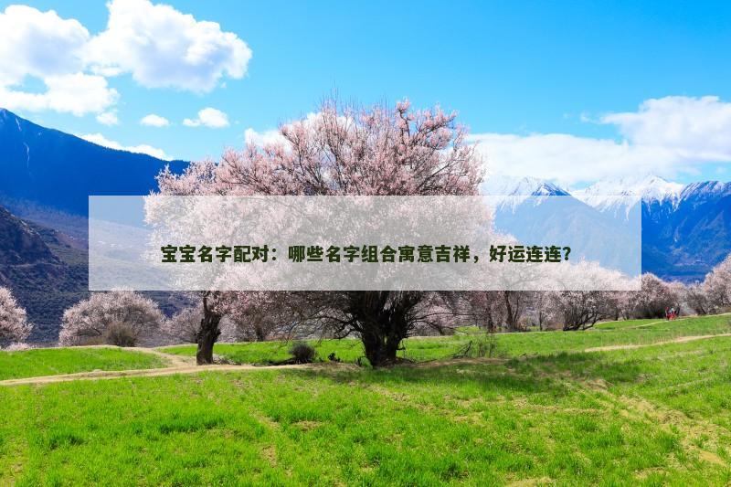 宝宝名字配对：哪些名字组合寓意吉祥，好运连连？