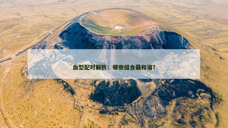 血型配对解析：哪些组合最和谐？