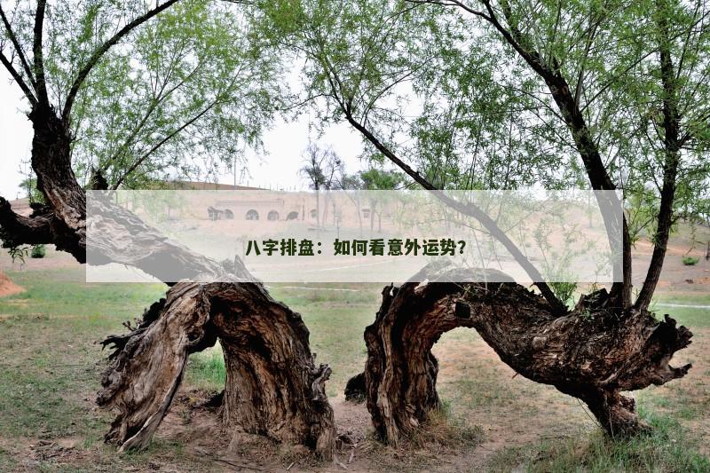 八字排盘：如何看意外运势？