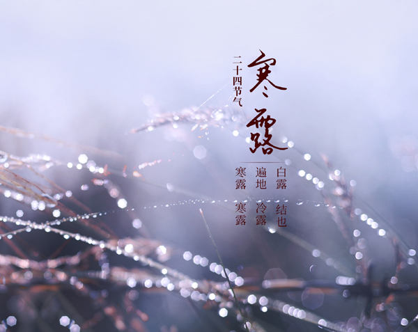 1735725333710654.jpg 摄图网_500630903_寒露节气(非企业商用).jpg