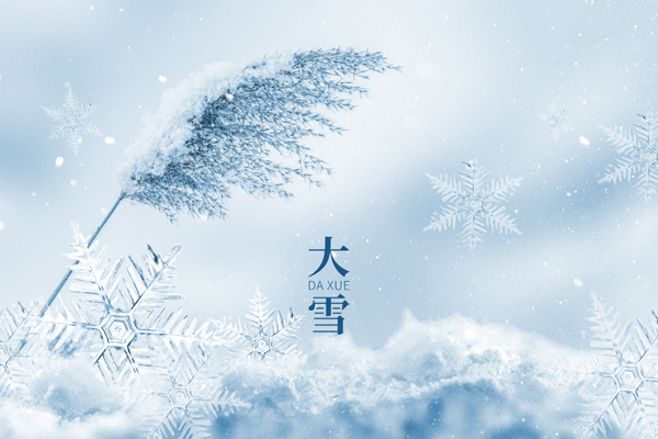1735725638505818.jpg 摄图网_402669494_大雪唯美创意雪景(非企业商用).jpg